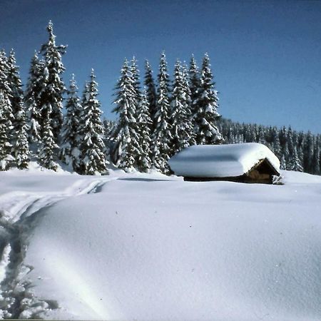 Apartament Ferienhaus Beim Veitele Mittenwald Zewnętrze zdjęcie