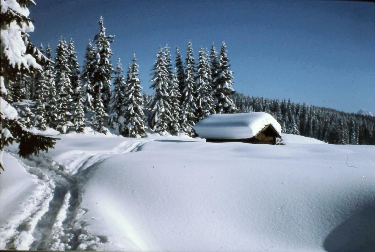 Apartament Ferienhaus Beim Veitele Mittenwald Zewnętrze zdjęcie